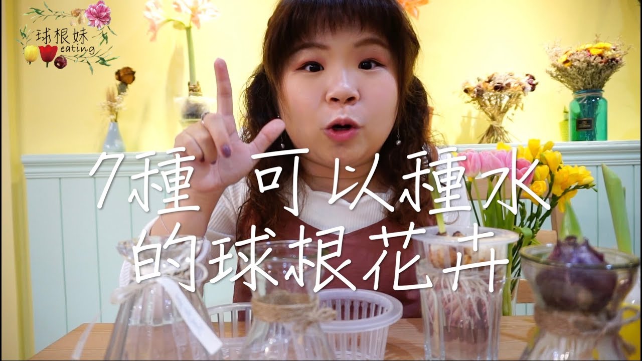 7種可以種水的球根花卉