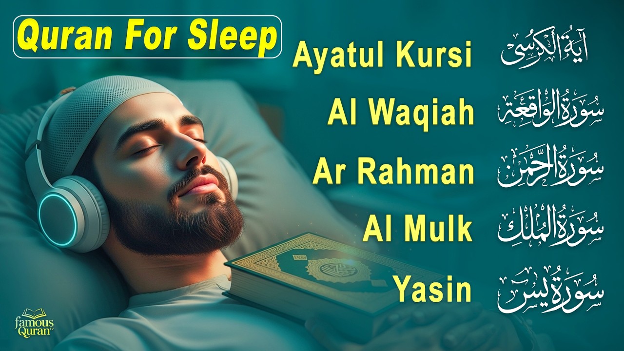 Peaceful Quran for Deep Sleep | Al-Fatiha,Ayatul Kursi,Surah Ar-Rahman, Al-Mulk, Yasin Alaa Aqel