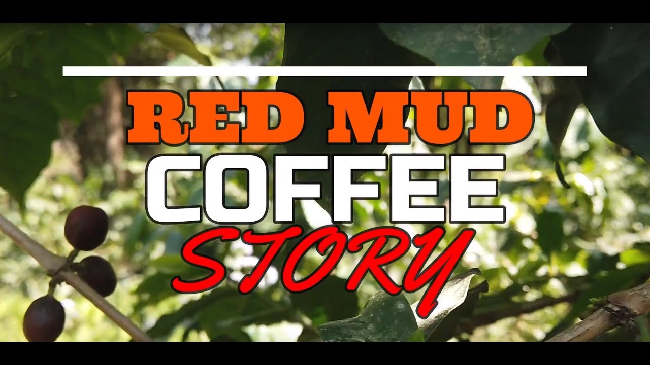 SEED TO CUP I RED MUD COFFEE I
