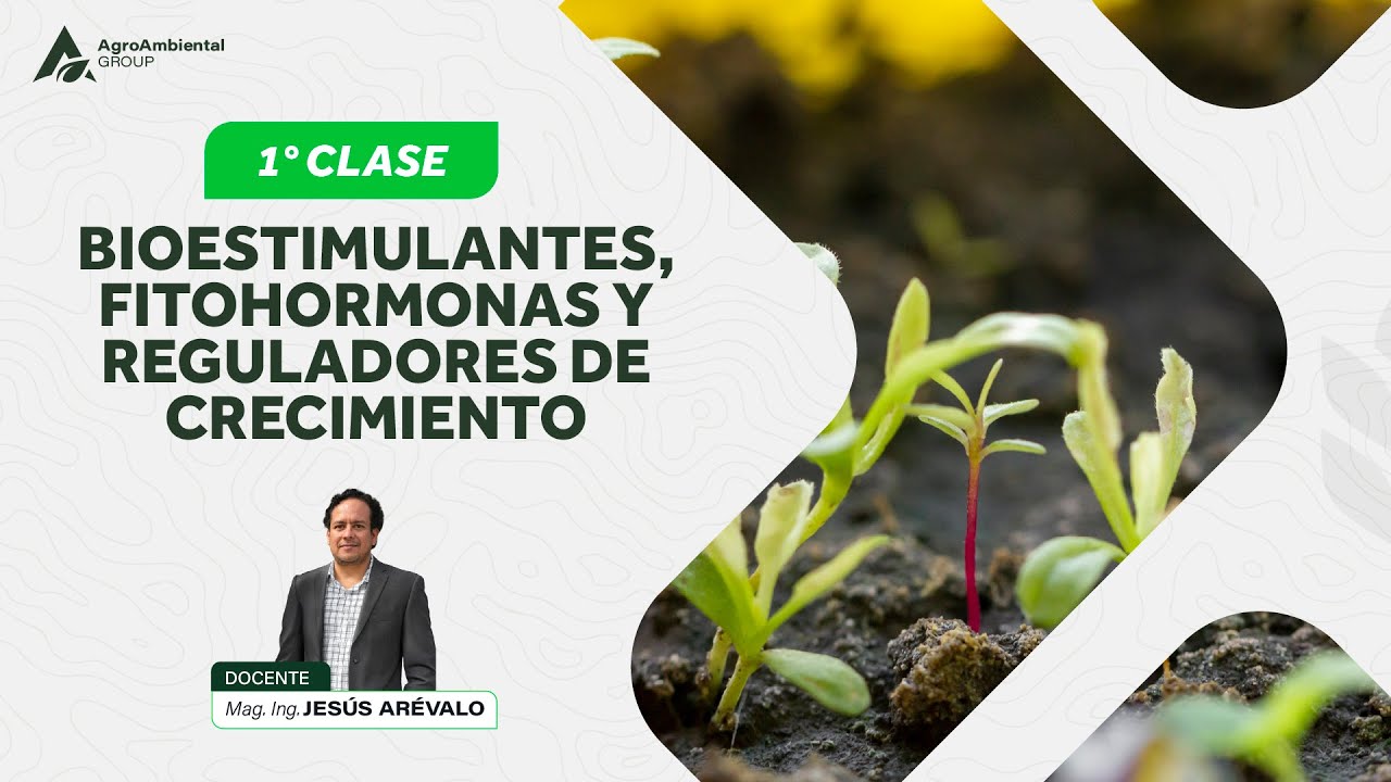 📚 Clase 1 de 8 | Curso Bioestimulantes, Fitohormonas y Reguladores de Crecimiento