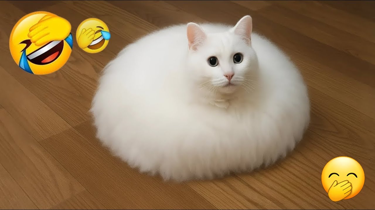 You Laugh You Lose 😸 Funniest Cats and Dogs 2026🤤 Part 4