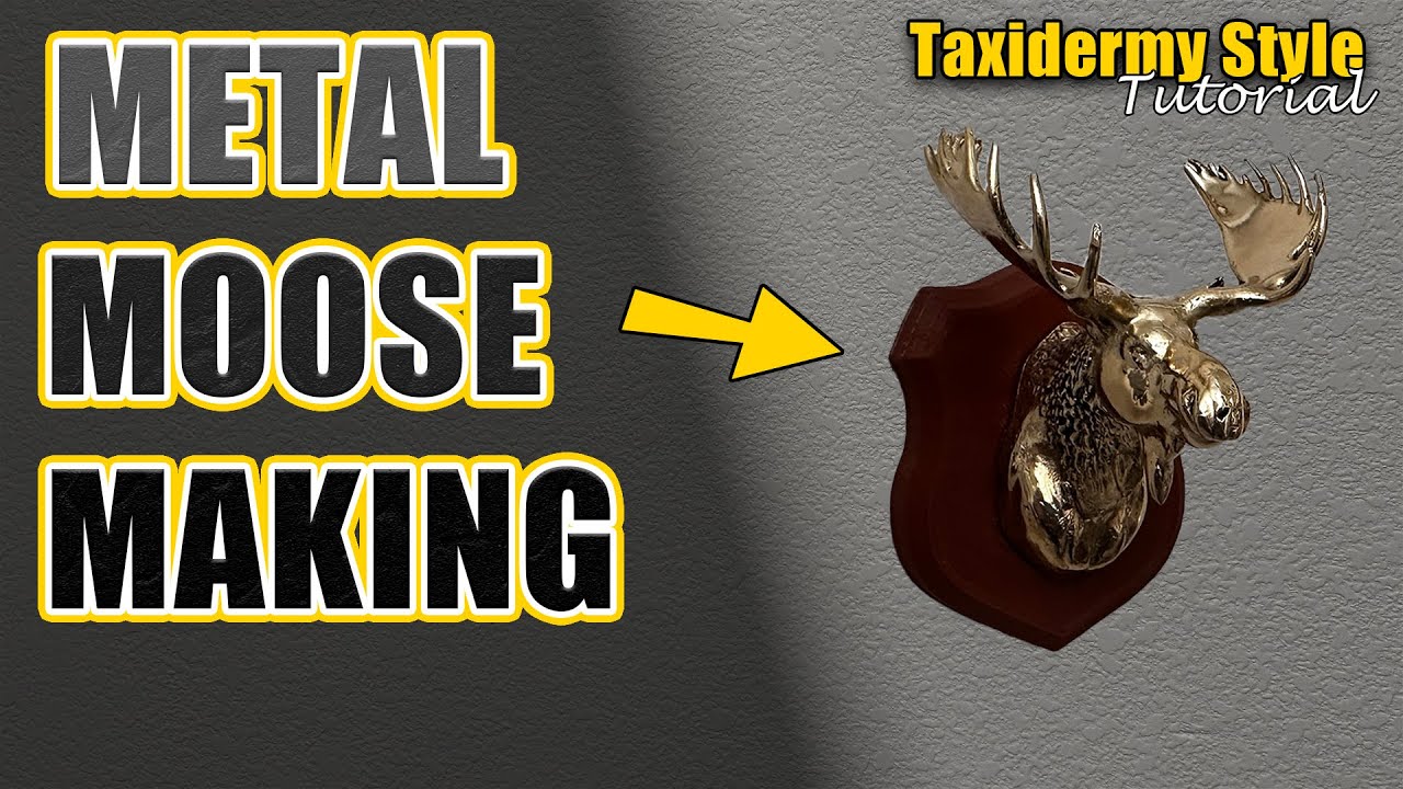 Taxidermy Style Metal Casting - Bronze Trophy Moose Tutorial