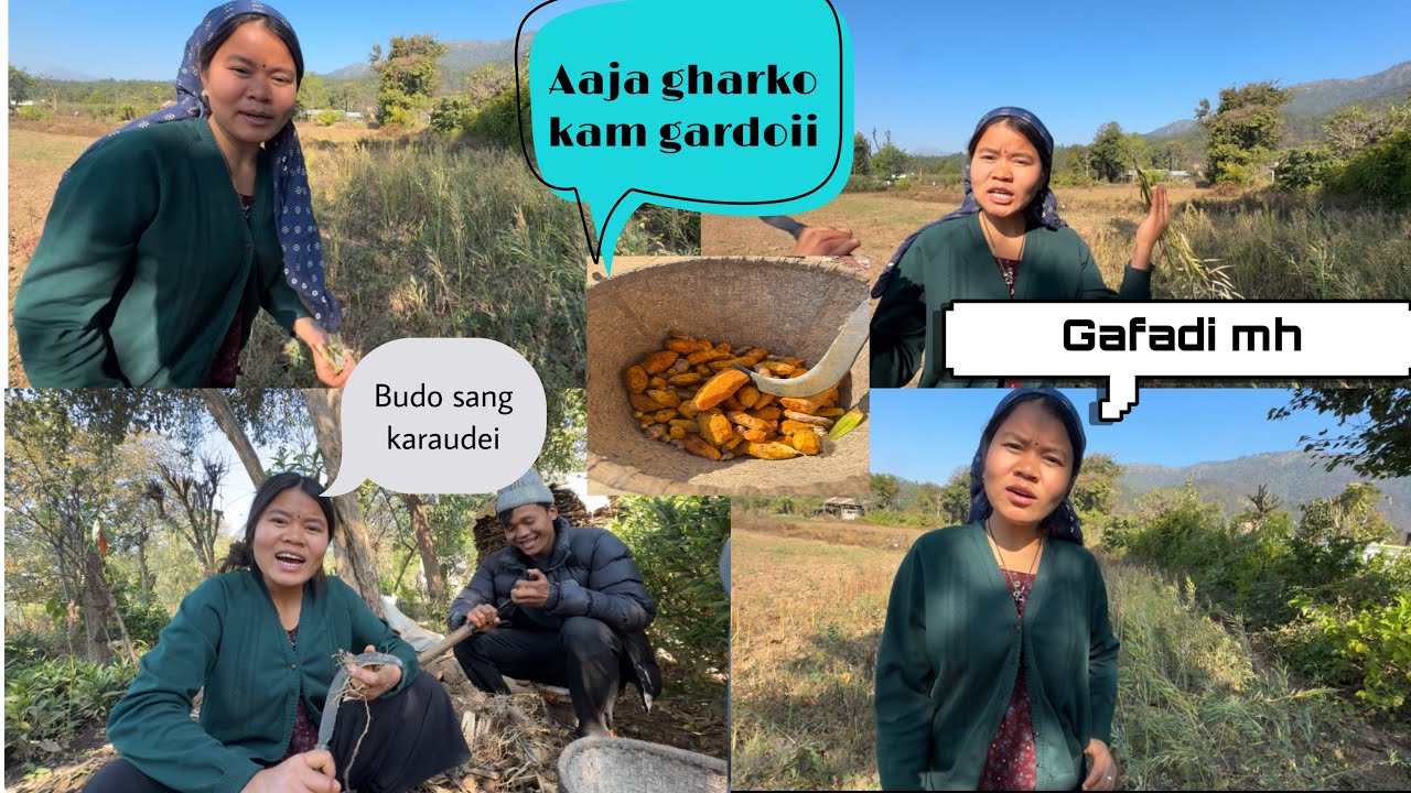 Aaja buda sang ghar ko kam gardei😘😃