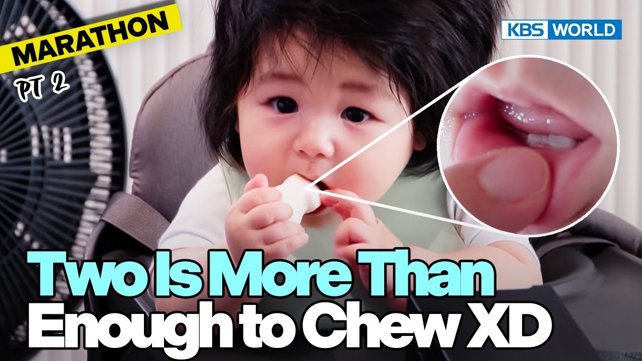 [1HR] 🥰Haru😍Marathon😂 Pt.2🤭 [The Return of Superman] | KBS WORLD TV