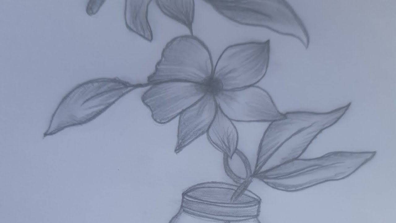 Flower sketch |#artshorts #trending #drawing #aestheic #viral #sketch #youtubeshorts #artist 