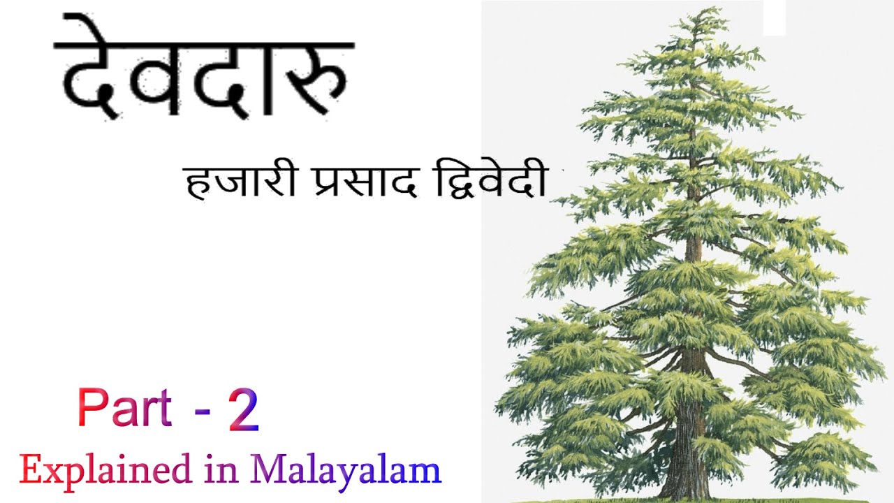 Devdaru-Part 2(Explained in Malayalam)Hazariprasad Dwivedi-Dr Sophia Rajan,Associate Professor