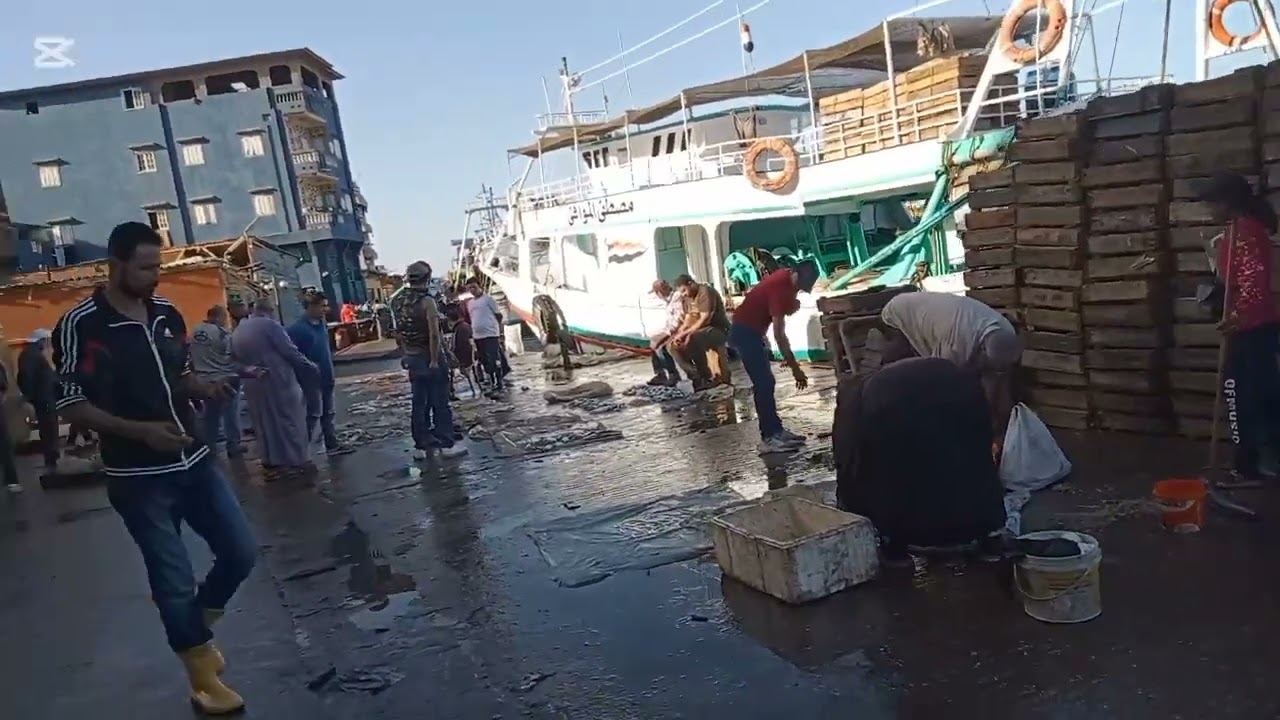 @رحلتنا إلى رأس البر وعزبة البرج بدمياط .