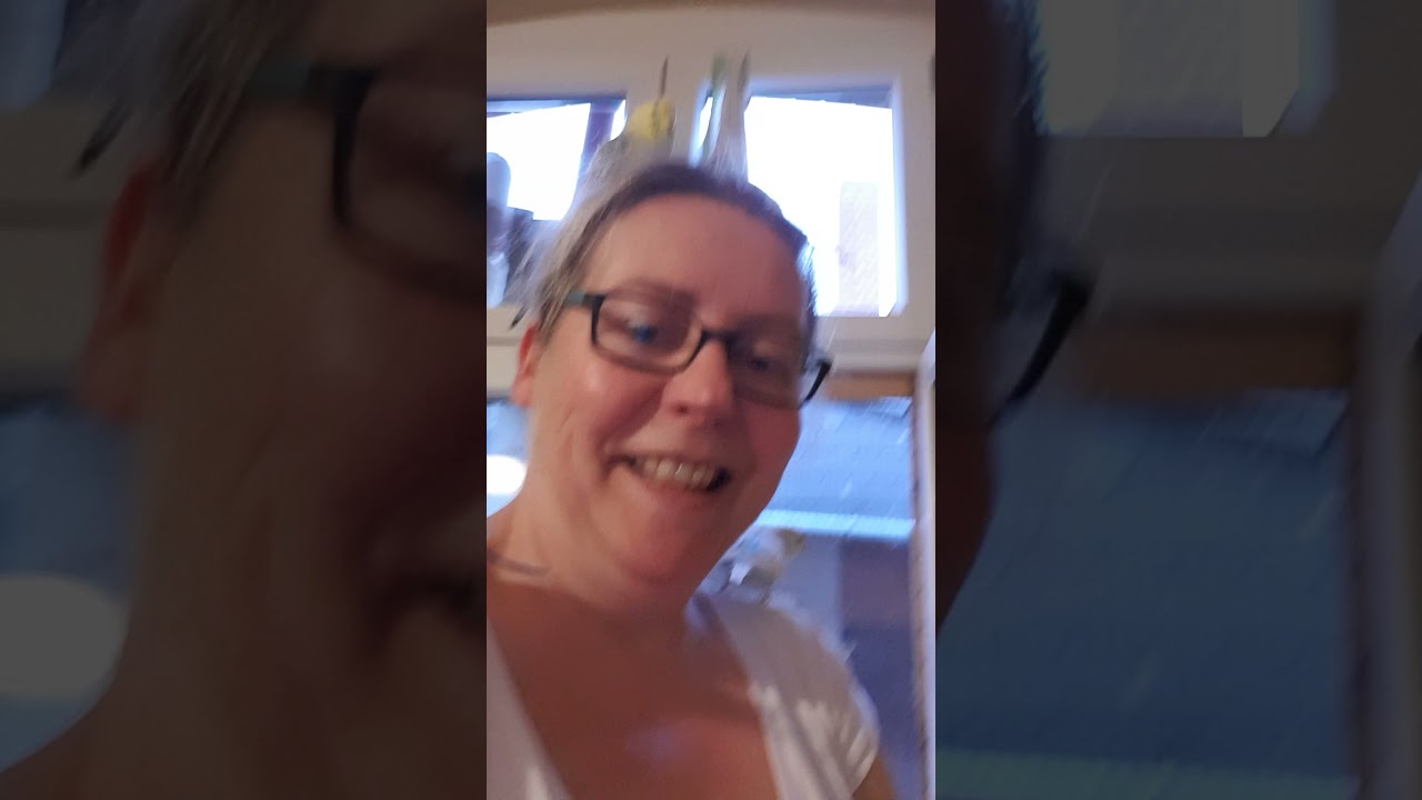 B&ouml;rde Budgies in der Vogelschule