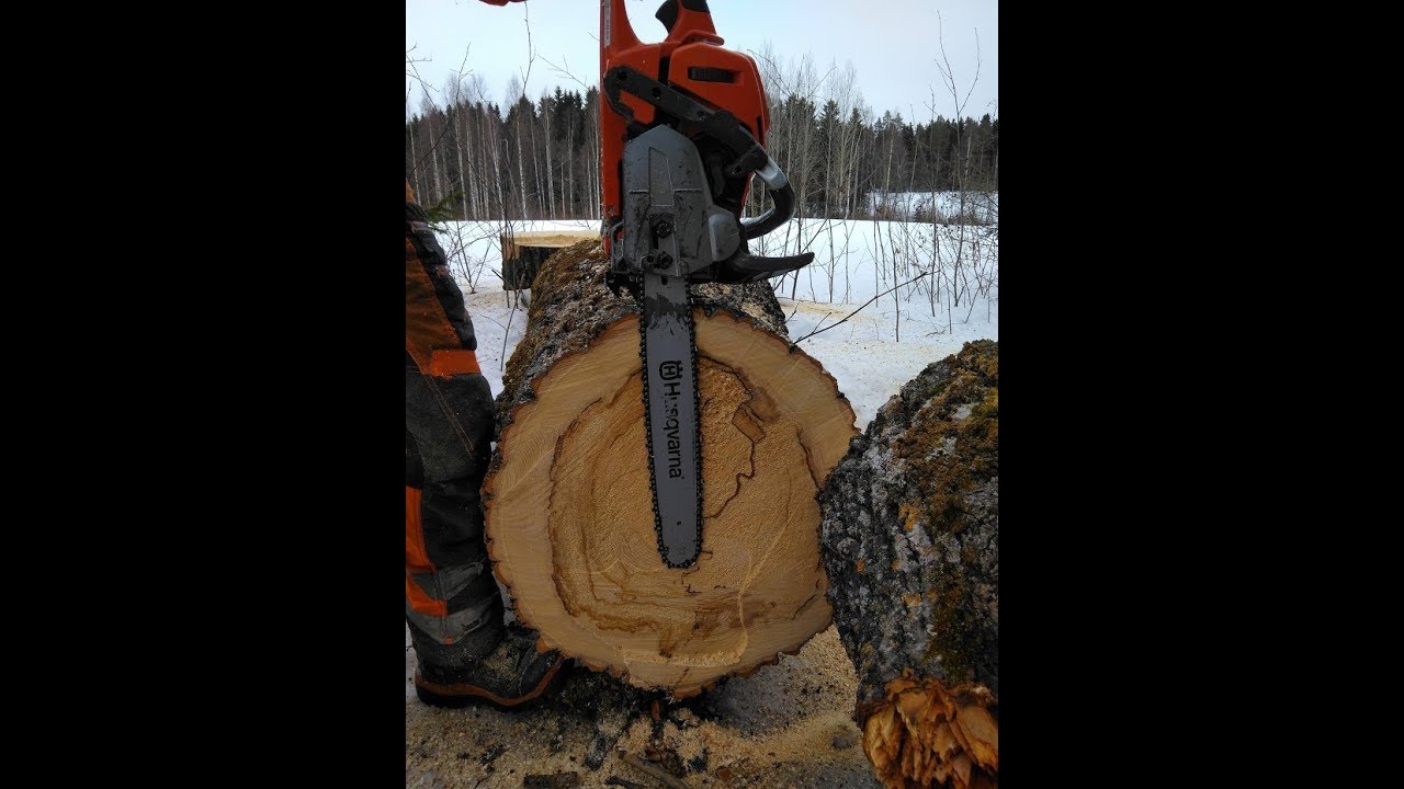 Metsolan Metsäkoulu 77, Top 3 vinkit hankintahakkaajalle.
