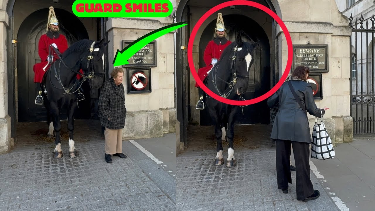 🤣King’s Guard’s Hilarious Dilemma: Smile or Shout?🤣🤗