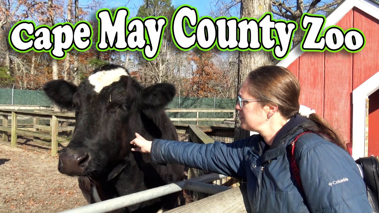 Cape May County Zoo - See Over 550 Animals for FREE!
