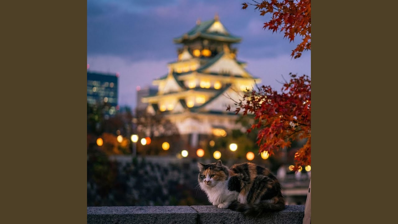 Osaka Castle Autumn City Pop