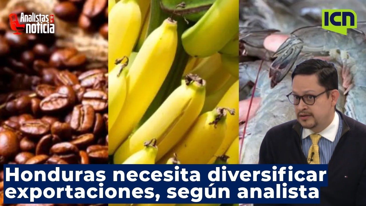 El gobierno actual debe fortalecer relaciones y dar certidumbre para hondureños en EE. UU.: Sibrian