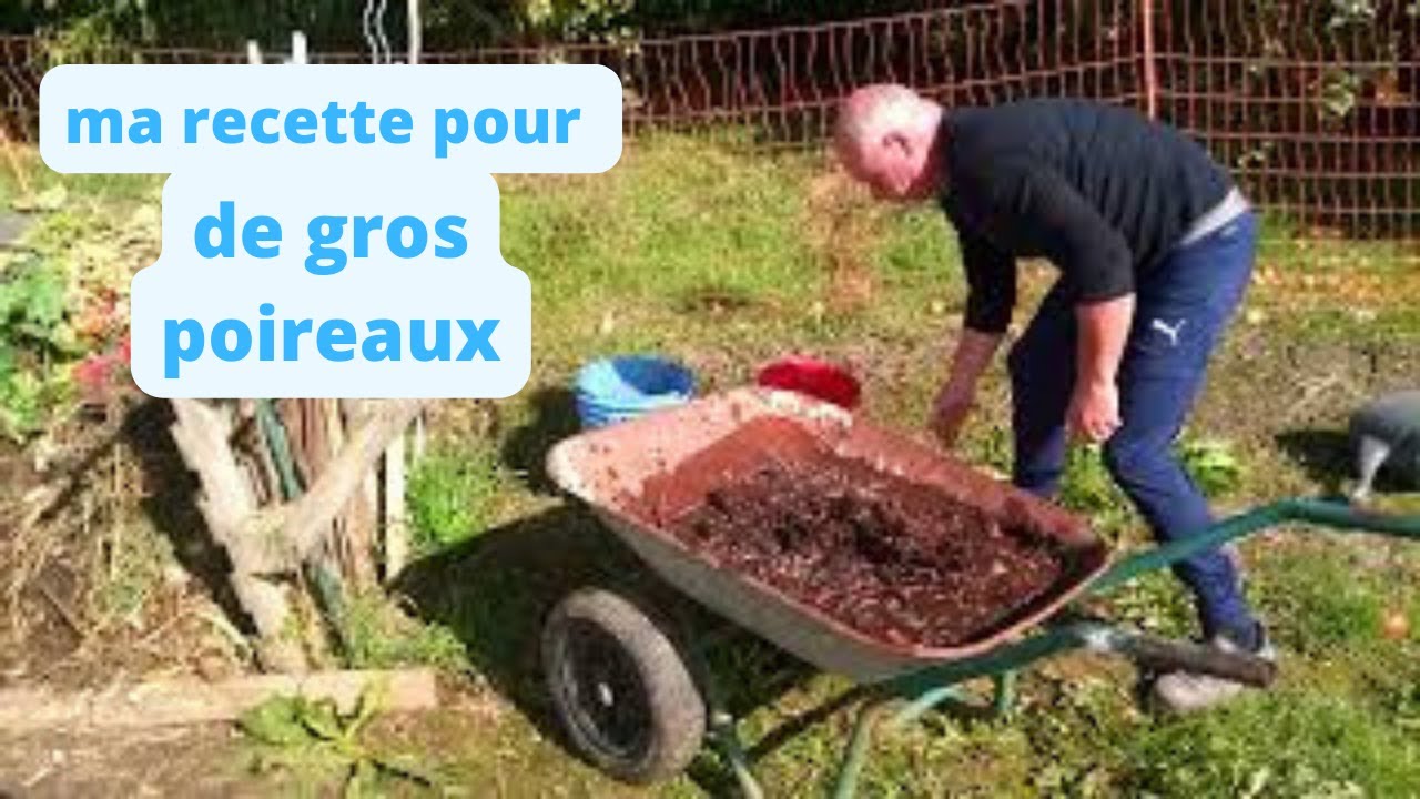 Ma recette pour avoir des gros poireaux au 1er décembre