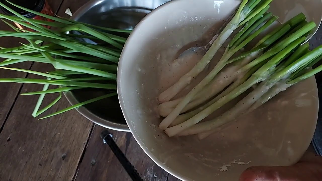 Green onion. Grow only one time but harvest more than a year.