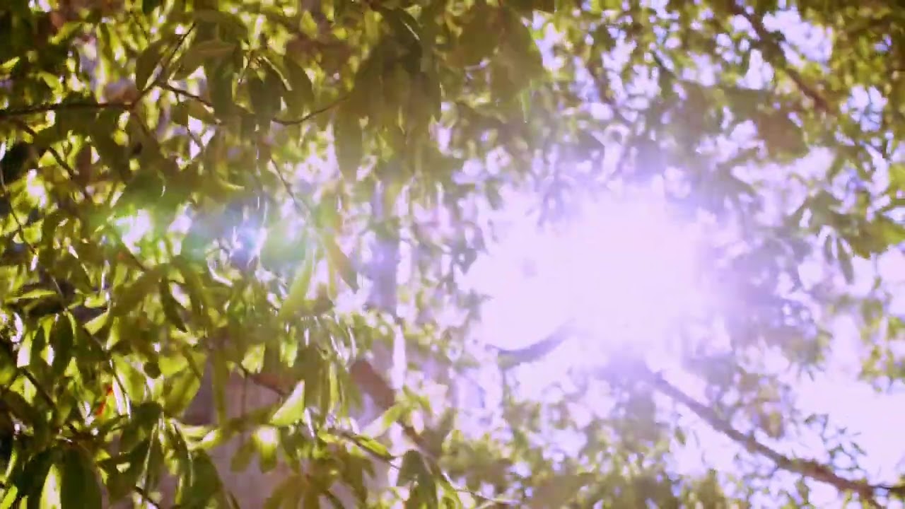 The Future Is Bright   Inspiring and Upbeat Anthem