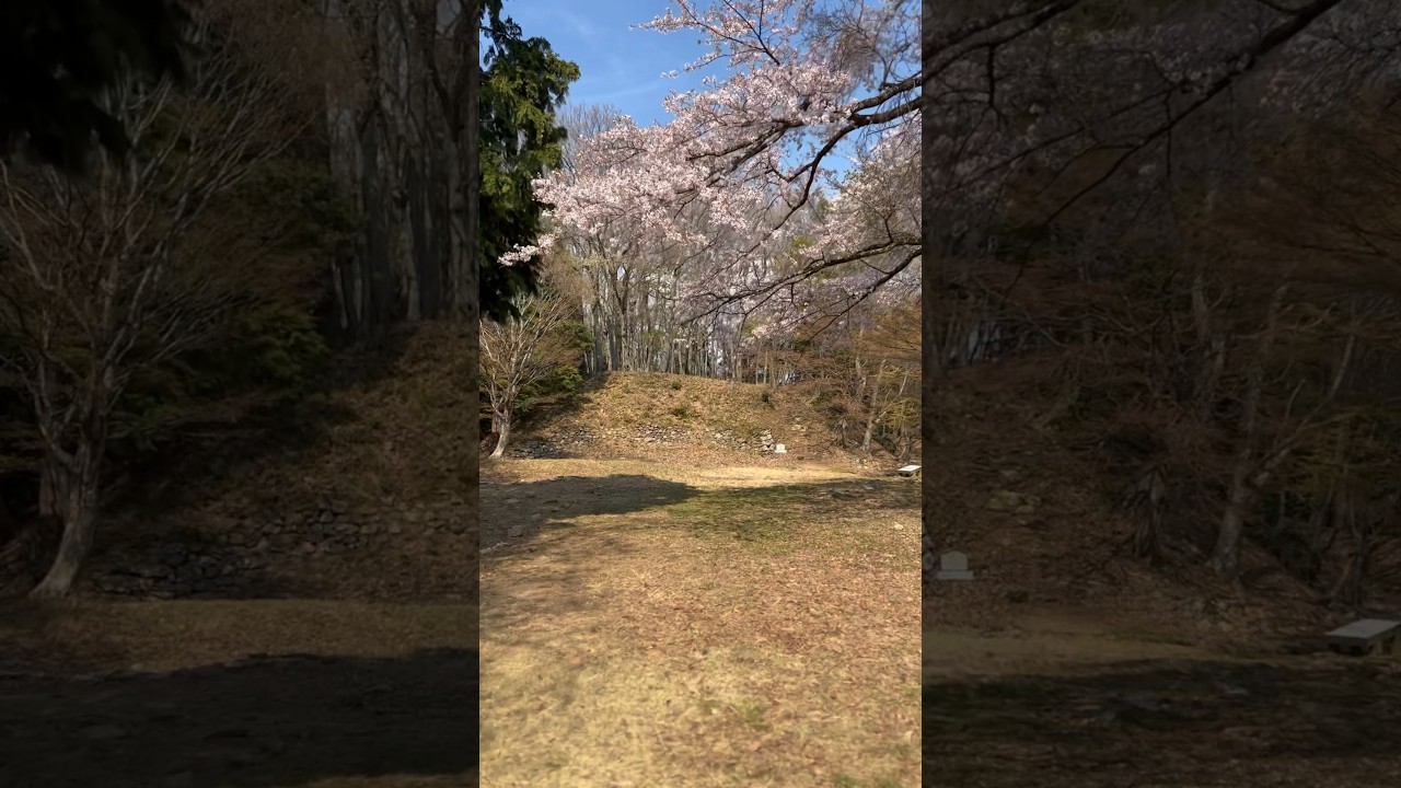 【城を観る shorts】《小谷城》〜大広間〜 #shorts #小谷城 #日本100名城 #滋賀県  #城を観る