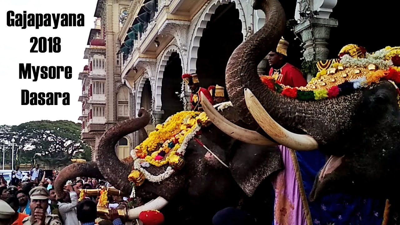 Mysore Dasara 2018 Gajapayana Welcome of Dasara Elephants to Mysore Palace Mysore tourism