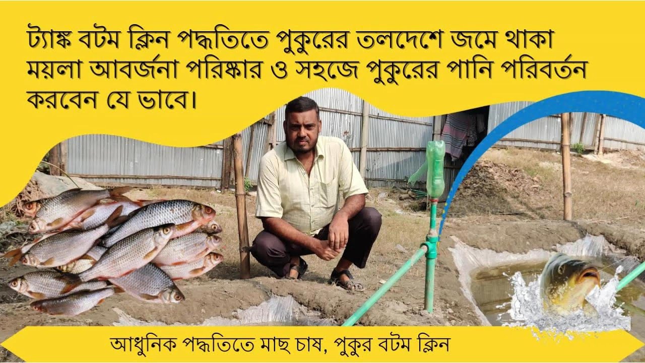 আধুনিক পদ্ধতিতে মাছ চাষ, সাইফন পদ্ধতিতে পুকুরের তলদেশে জমে থাকা ময়লা অপসারণ ও পানি পরিবর্তন।