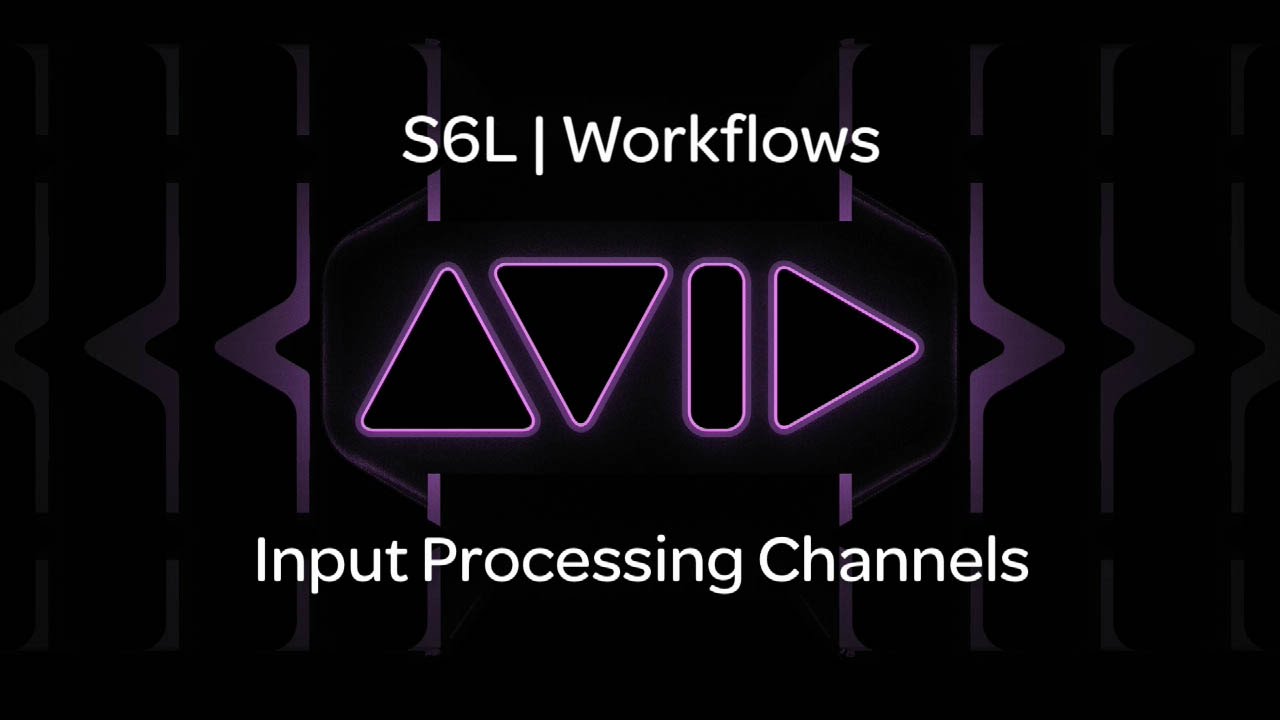 VENUE | S6L — Input Processing Channels