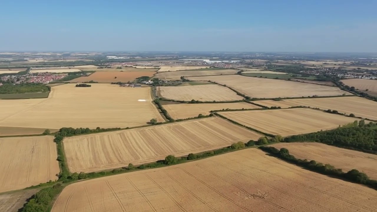 DJI Neo. Hare, Deer, AI modes. Max Altitude