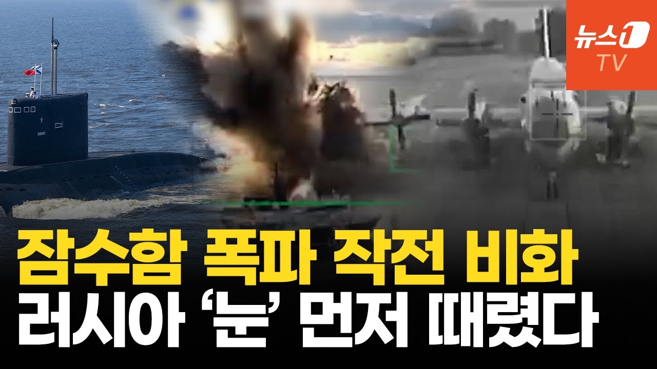 우크라, 잠수함 파괴 작전 전모&hellip;러 대잠 초계기 깡통 만들었다