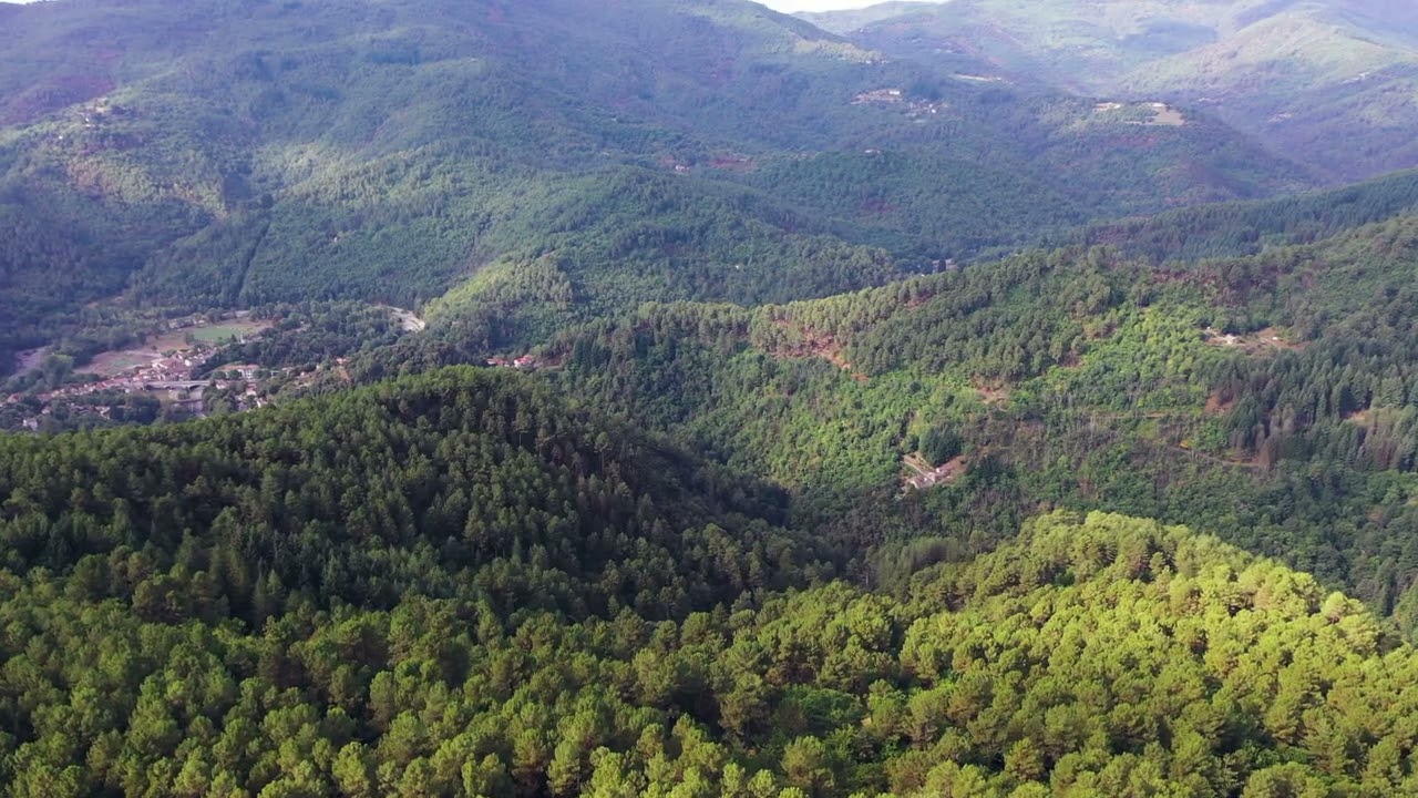 c&eacute;vennes (le collet de deze)