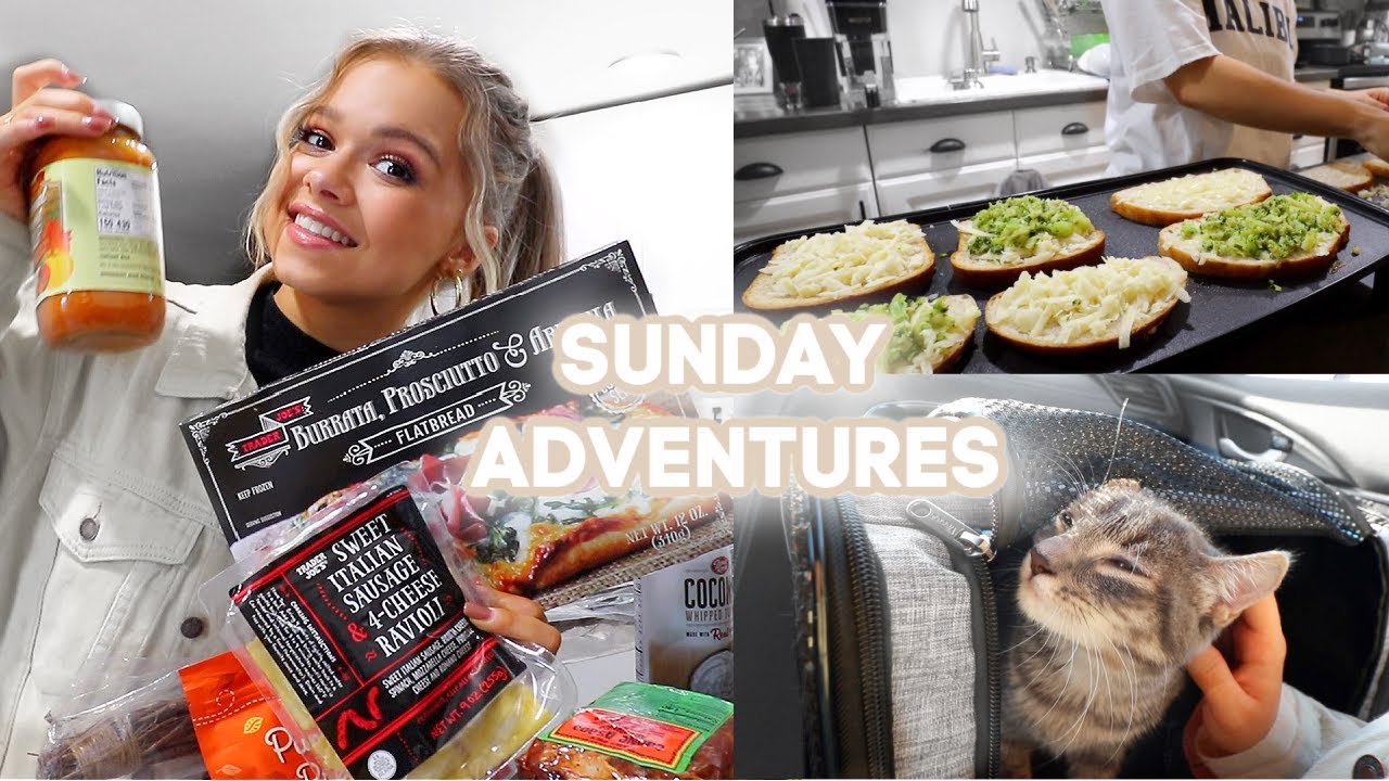 Trader Joe's Shopping + Haul, Bailey Get's Surgery & Fancy Grilled Cheese Night