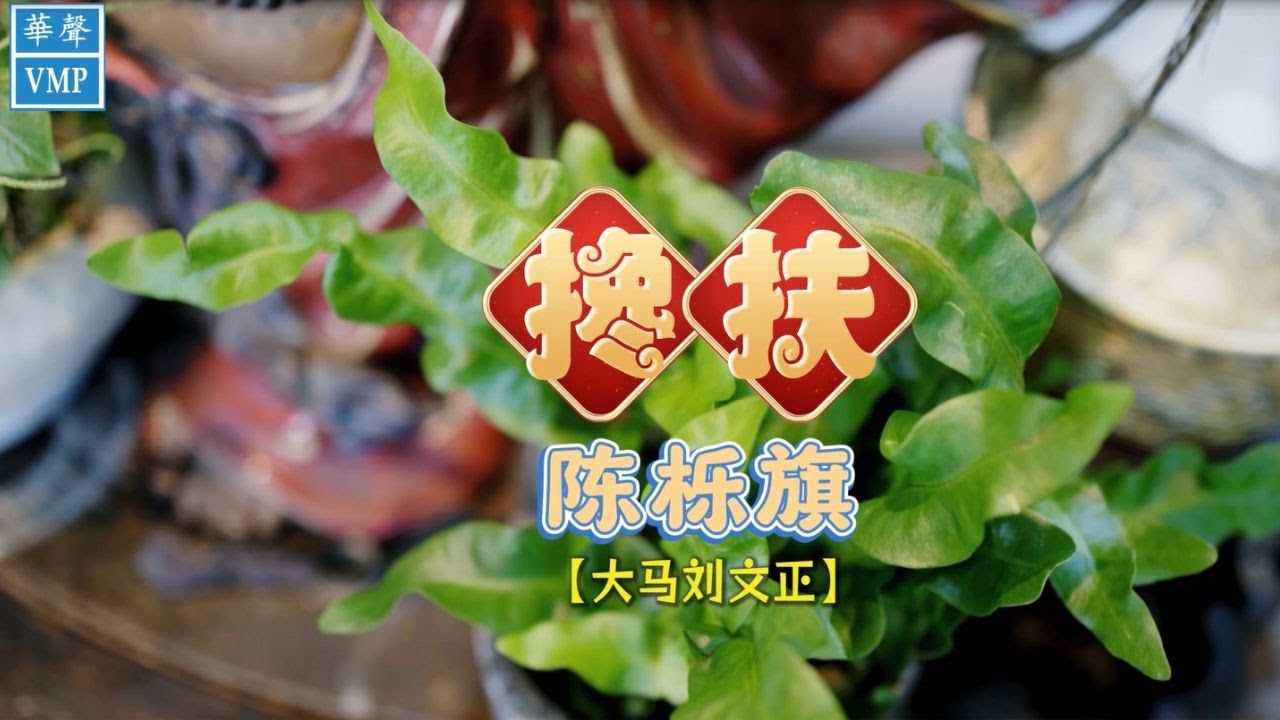 《大马 刘文正》陈栎旗【搀 扶】MV
