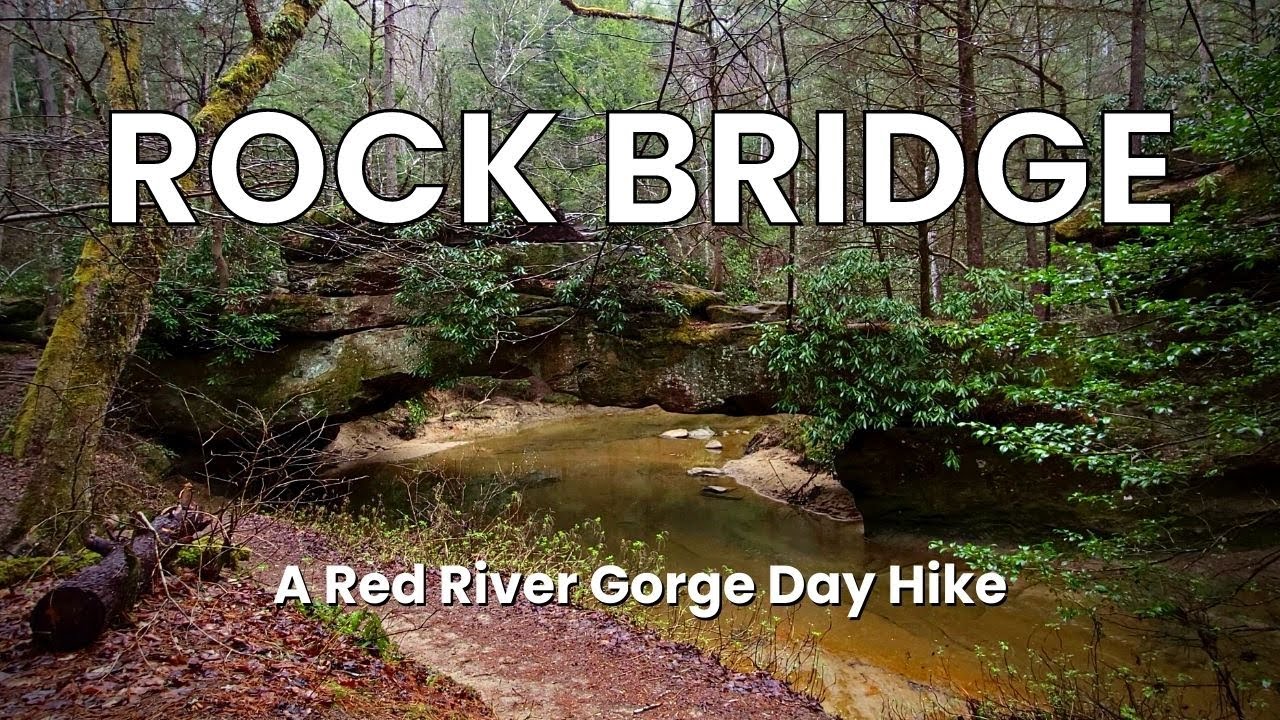 Rock Bridge Trail | Red River Gorge