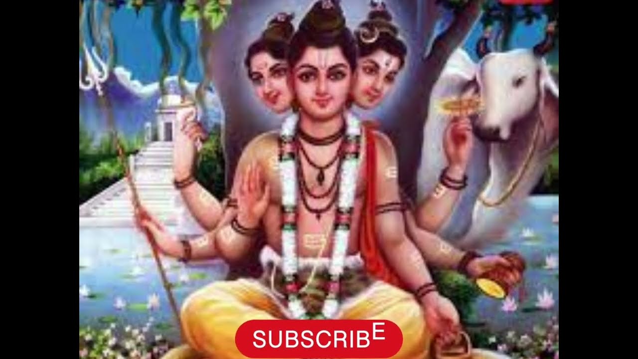 गुरुदेव दत्त  स्वमी दर्शन । Guru Datt Shorts Video ।