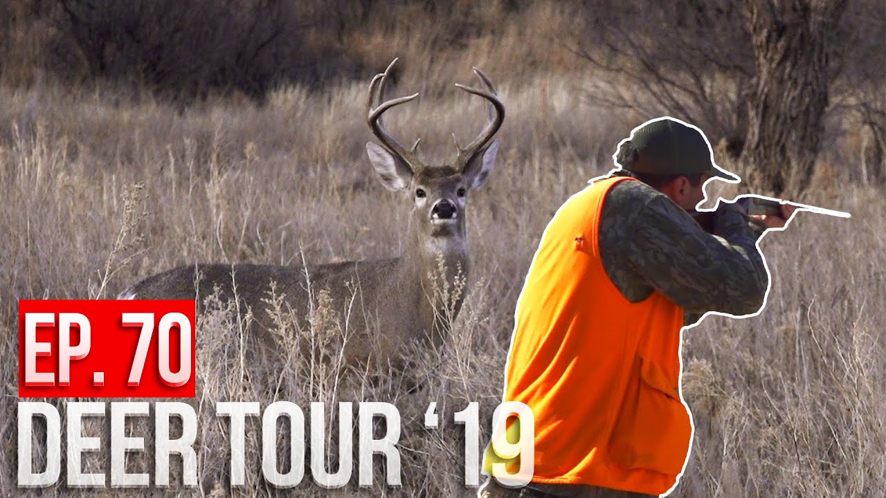 Hunting PUBLIC LAND in the DESERT! - Arizona Bucks and Birds!