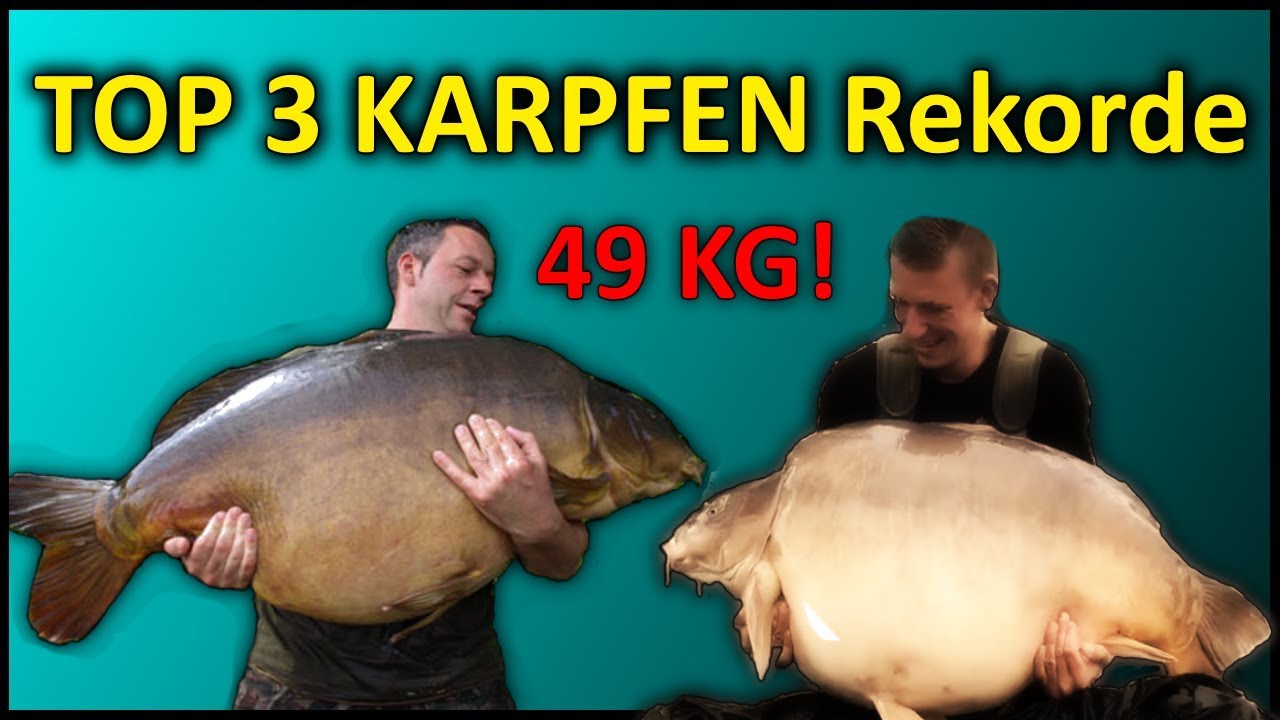 Top 3 Weltrekord KARPFEN | 49 KG KARPFEN!