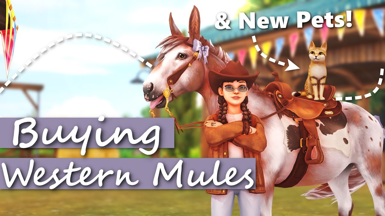 Buying NEW MULES! Camp Western Week 2 🫏 - Star Stable