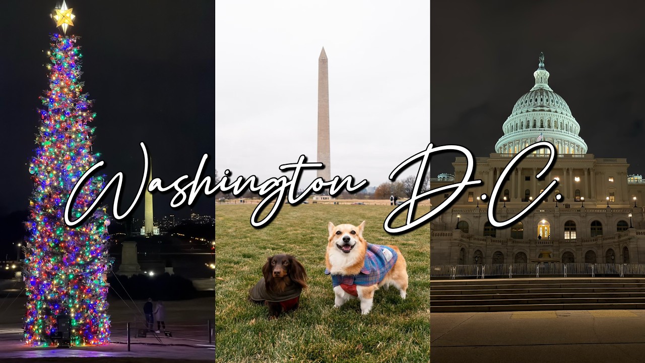 🇺🇸 Washington D.C. | Roadtrip with Dogs | Food & Museums | Vlog #10