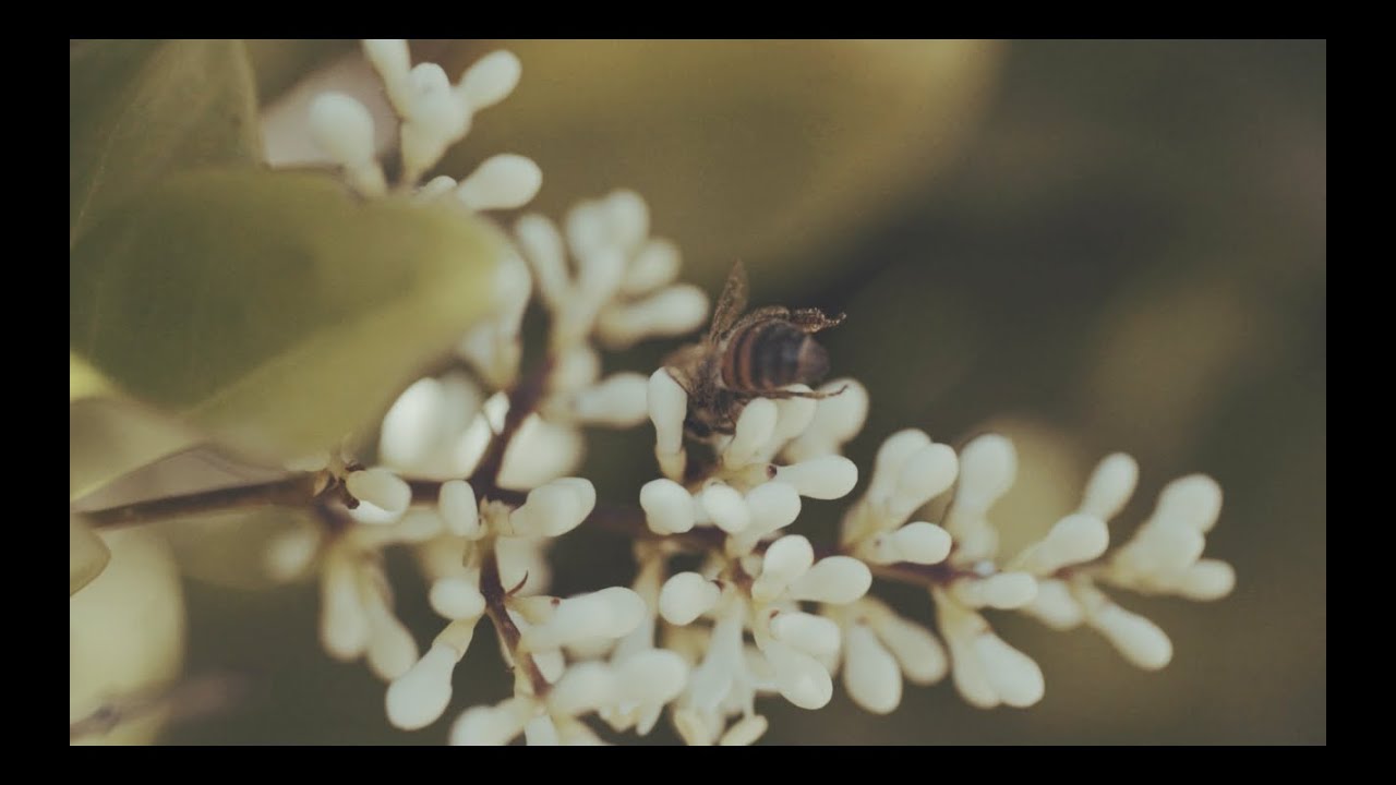Bigger Picture | Smaller Things