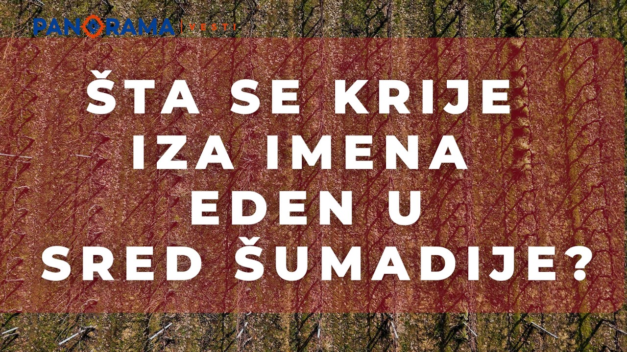 Između Kosmaja i Bukulje: Vinarija Eden kao mali raj Šumadije