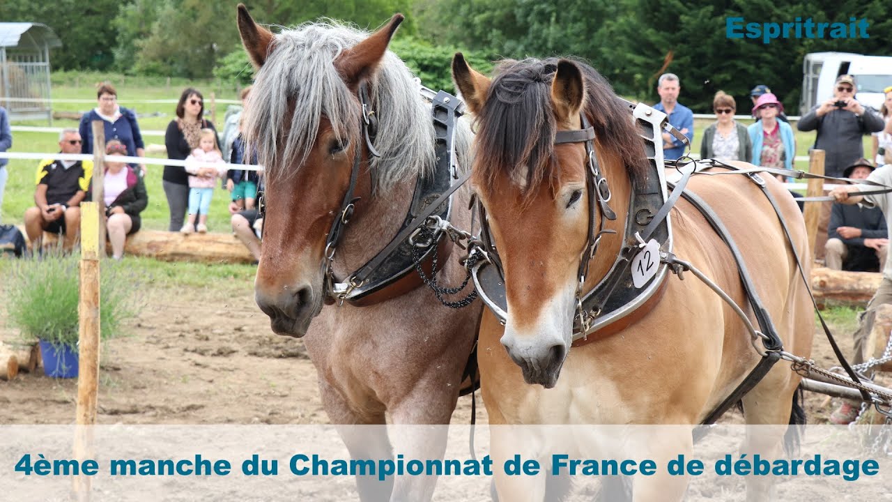 Film de la 4ème manche du Championnat de France de débardage 2024