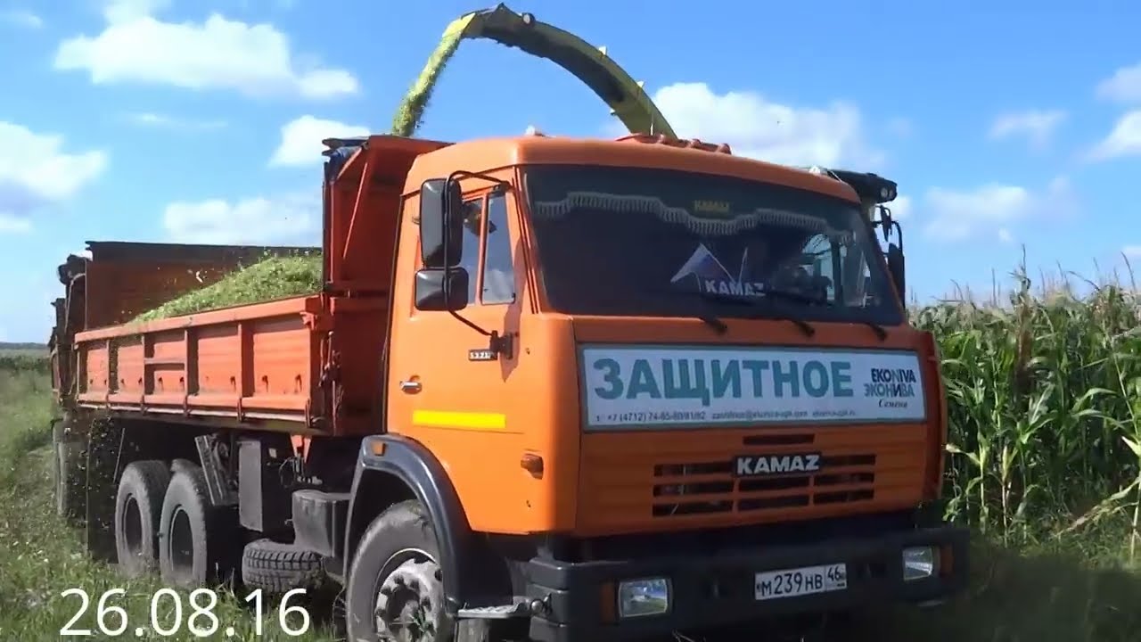 Кукуруза на силос! От сева до уборки 2016 год.