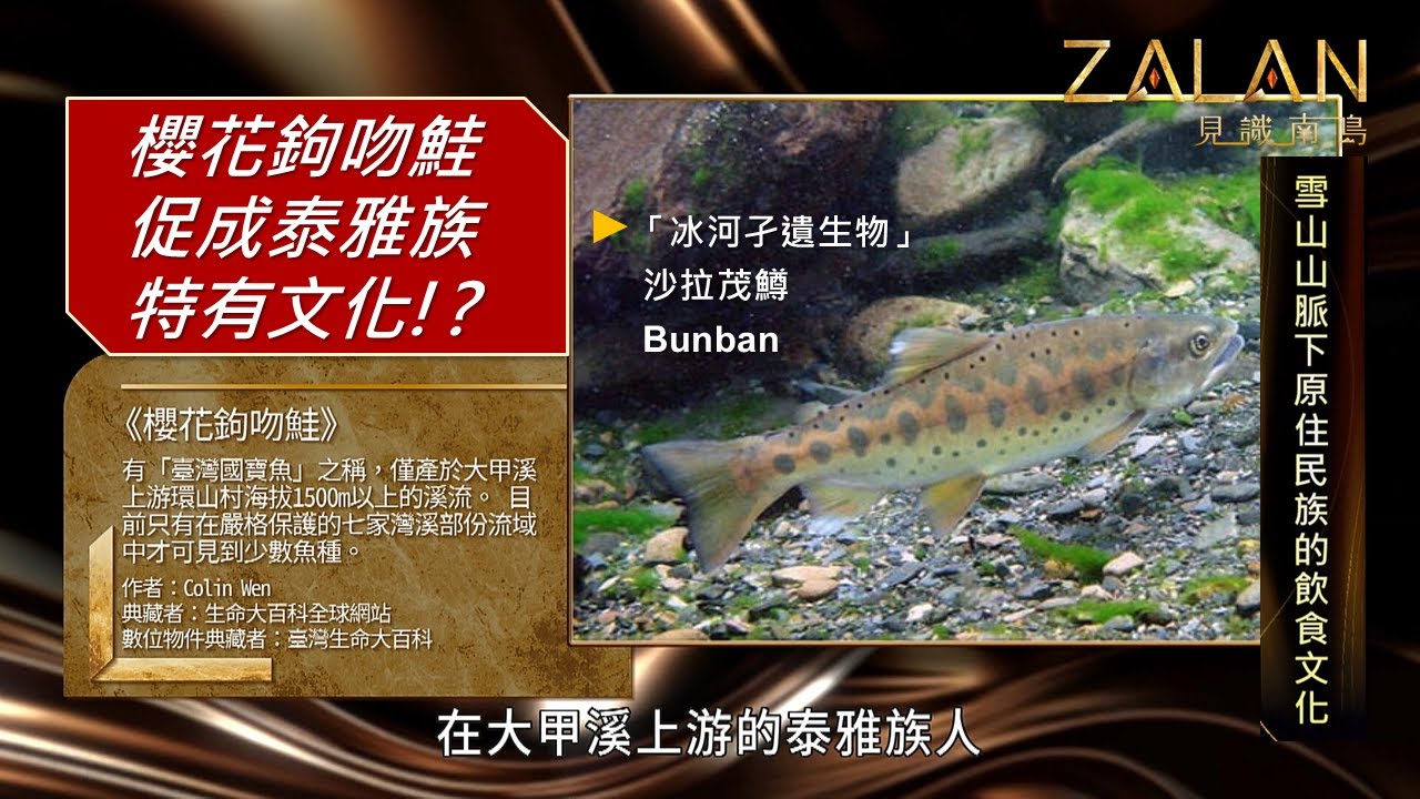 🔥【雪山山脈下原住民族的飲食文化】【ZALAN見識南島】S8_EP8｜劉益昌主持｜來賓：楊翎、Ivan Temu (簡偉帆)