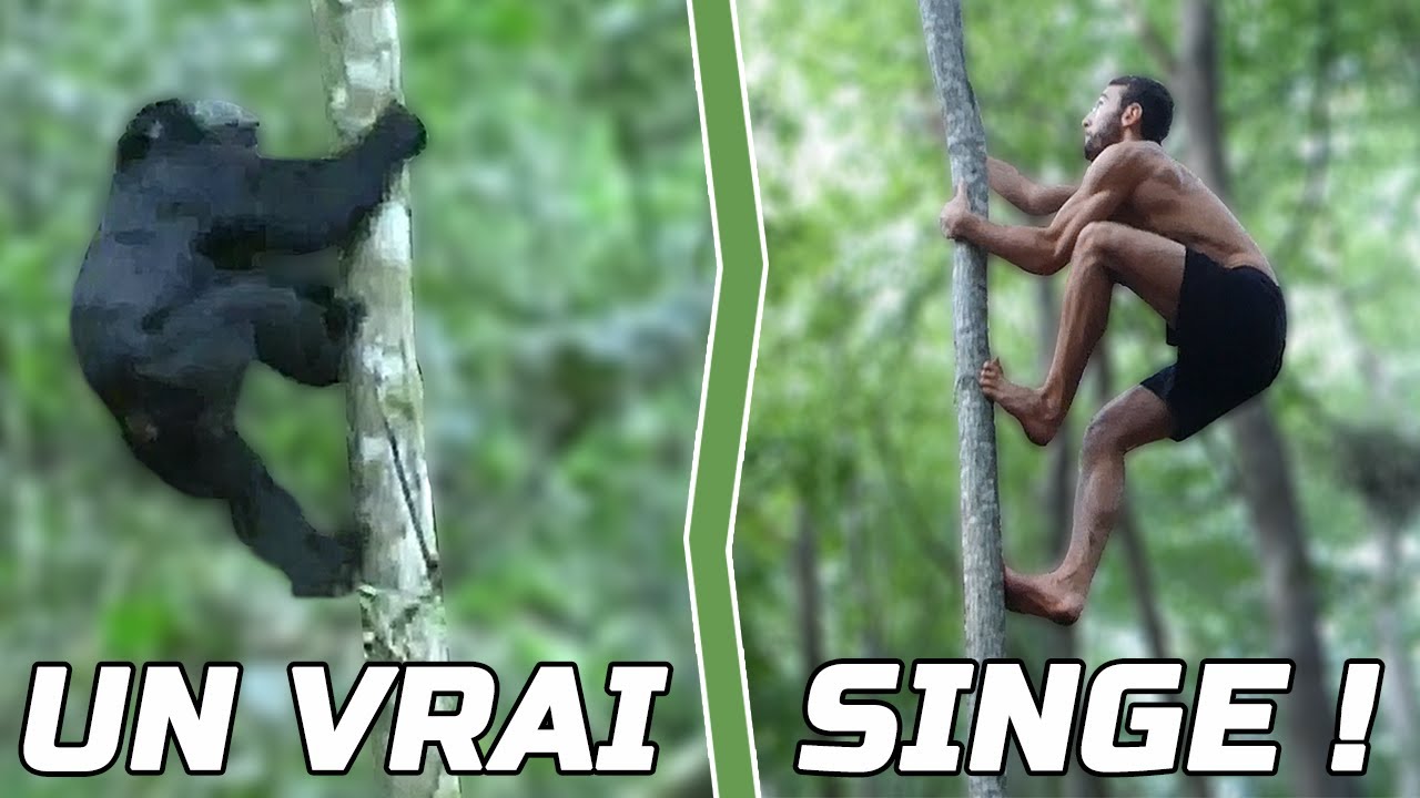 Je grimpe aux arbres aussi vite qu'un singe !  🦍 (+ Ma participation à Ninja Warrior) 🌟