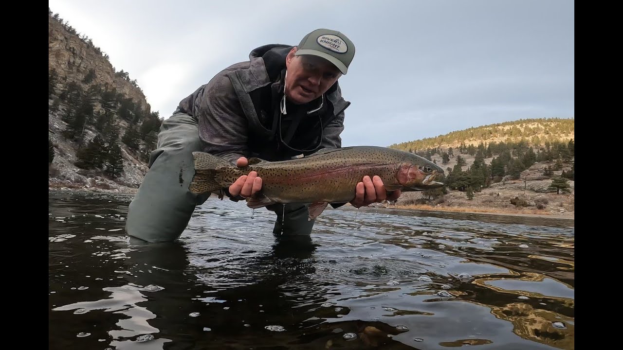 New Years day 2026 Montana