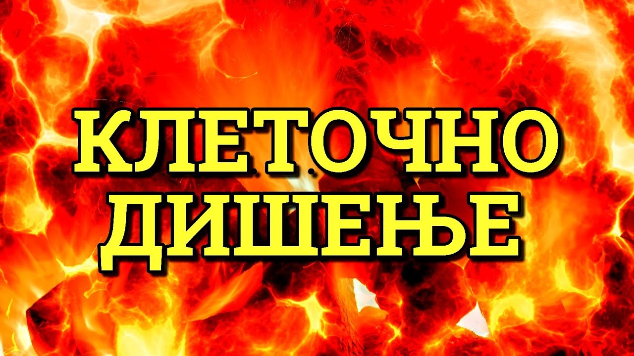 КАКО ДОБИВАМЕ ЕНЕРГИЈА? КЛЕТОЧНО ДИШЕЊЕ (БИОЛОГИЈА IV)