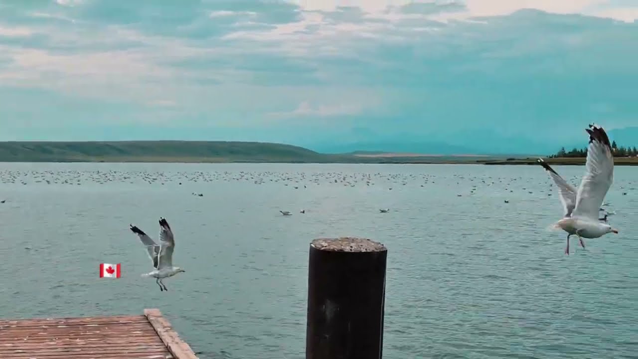 360º Waterton Reservoir Provincial Recreation Area Campground #love #camping #nocopyrightmusic