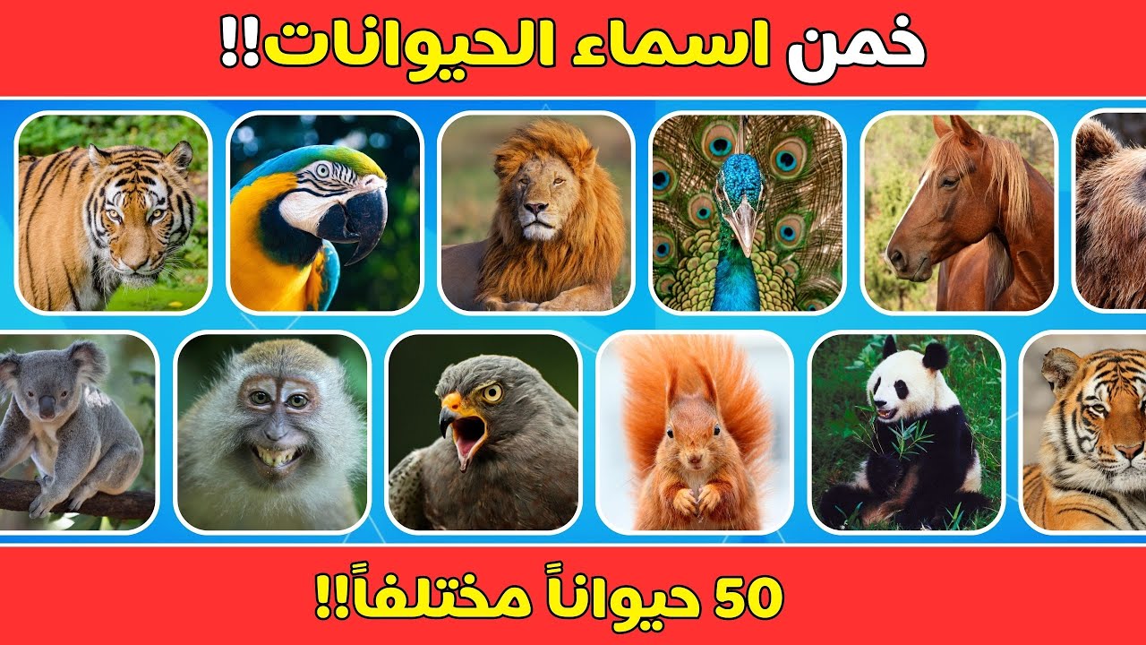 تحدي الحيوانات | خمن أسماء الحيوانات!!! 🐎​🐘​🦌​