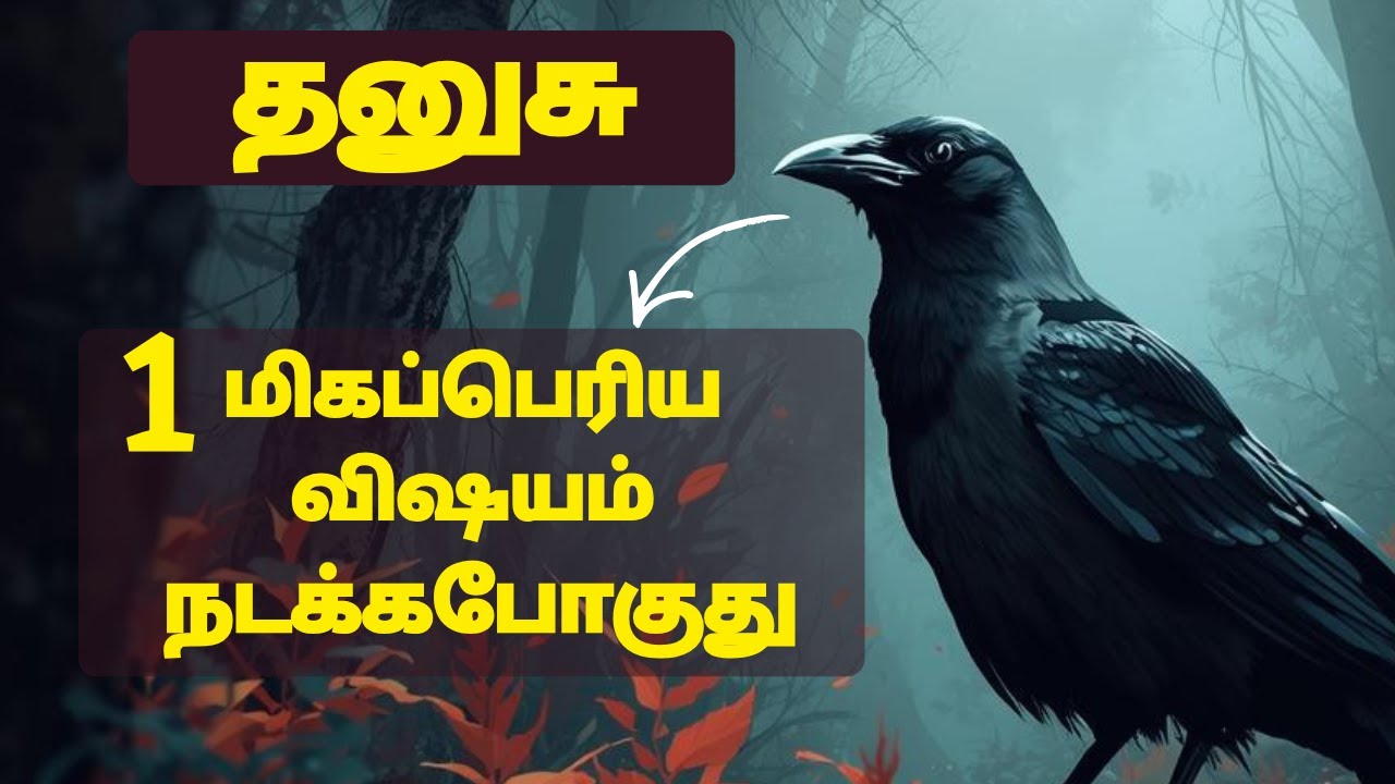dhanusu 1 மிகப்பெரிய விஷயம் நடக்க போகுது | #dhanusu #dhanusurasi #virgo #astrology #rasipalan