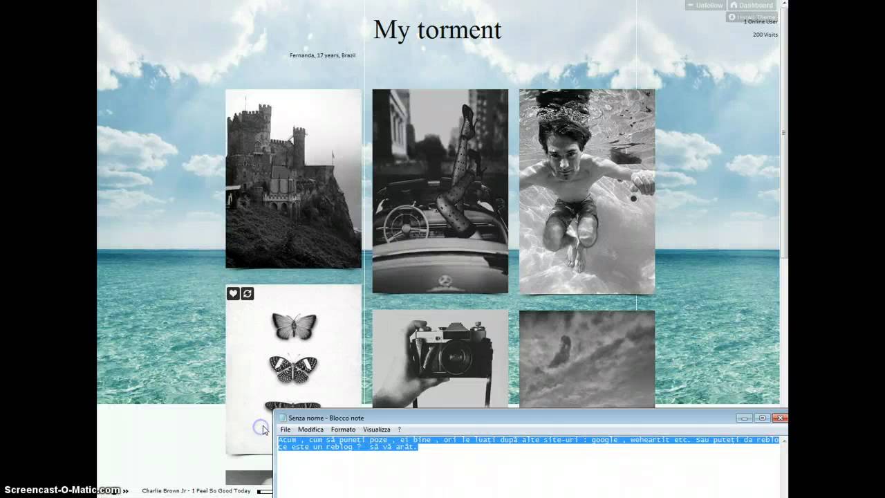 Tutorial rom&acirc;nesc pentru tumblr.