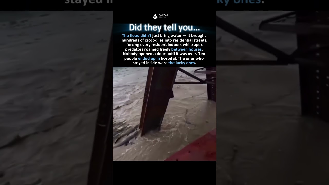 THE FLOODED STREETS
