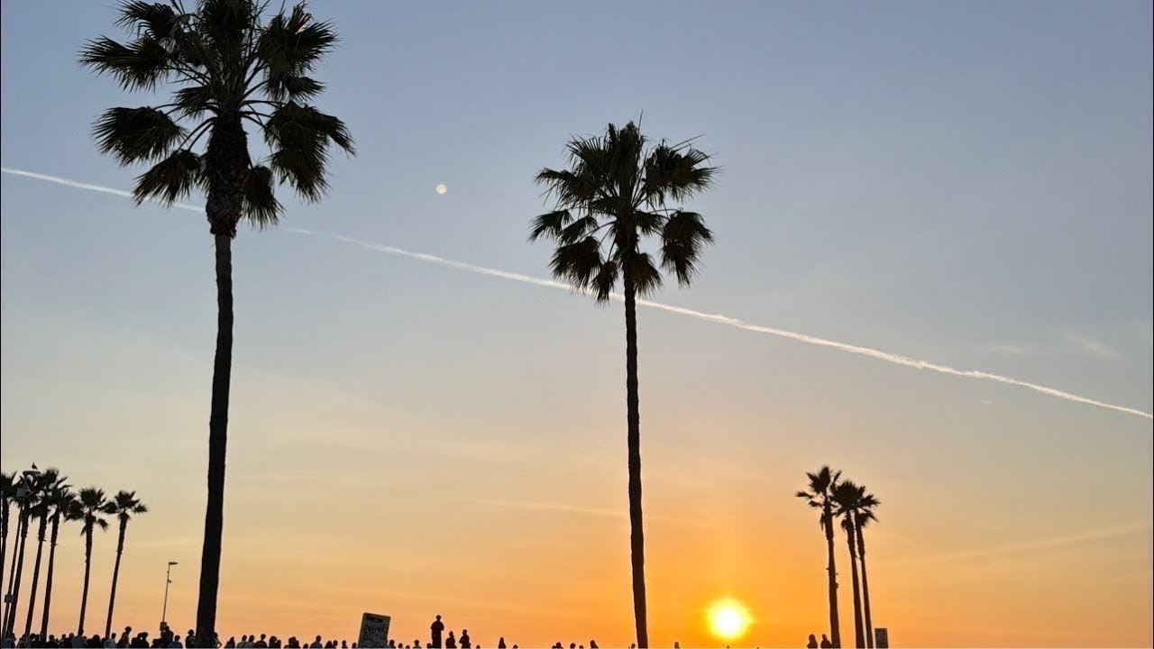 santa monica to venice 3/20/2026
