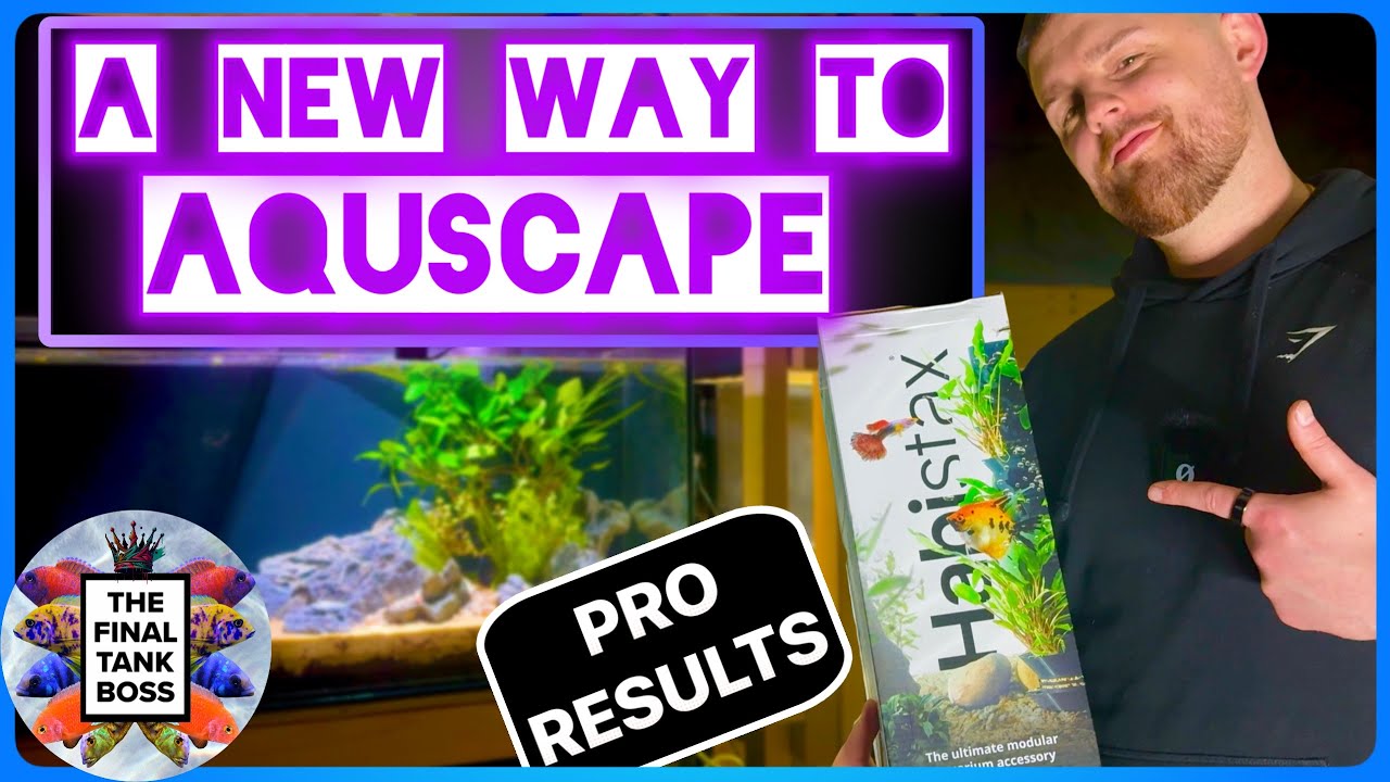 Habistax Review | Is This the Future of Aquascaping?